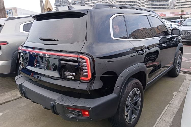 Used Haval DARGO 2024 2.0T DCT Chinese Rural Dog Edition
