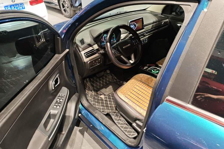 Used Dayun Yuehu 2021 32.85 kWh Two-Wheel-Drive Sprite Version
