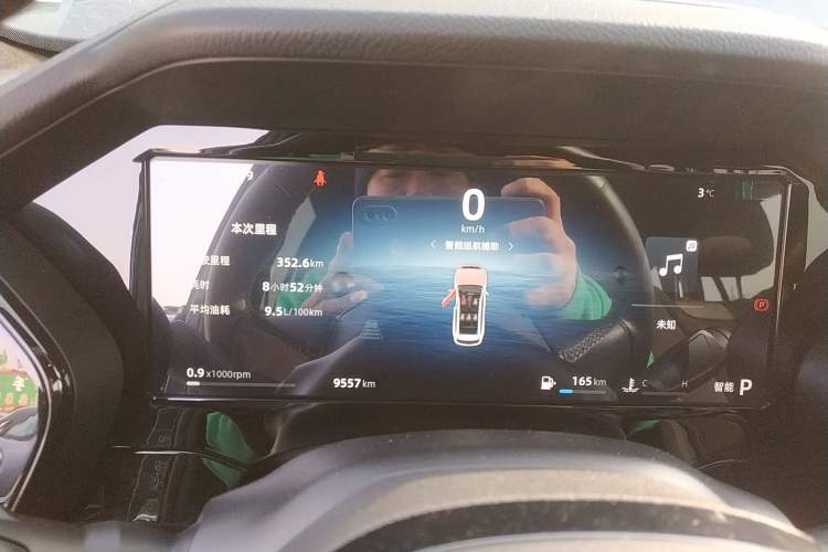 Used Geely Auto Monjaro L 2024 2.0TD High-Power Automatic Two-Wheel Drive Skyline Edition
