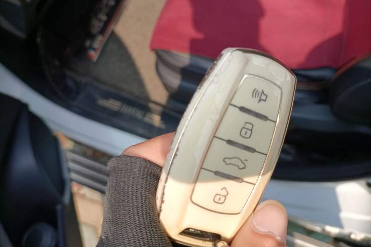 Used Haval F7x 2019 1.5T Two-Wheel Drive Intelligent Technology Edition
