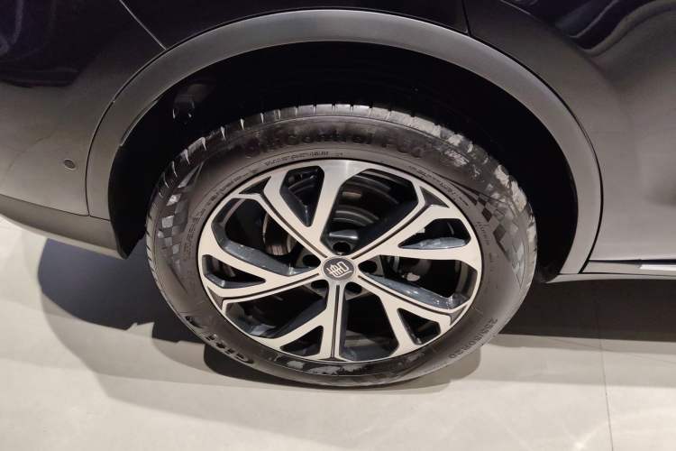 Used BYD Tang New Energy 2025 Intelligent Driving Version DM-i 115KM Flagship Edition Exterior 5