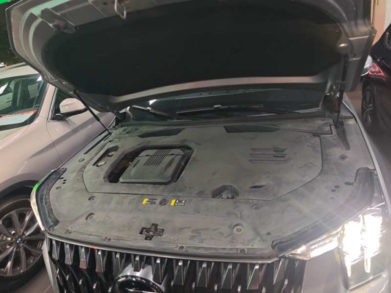 Used GAC Trumpchi GS8 2022 Double-Energy Series 2.0TM Two-Wheel Drive Prestige Edition (6 Seats) — 19