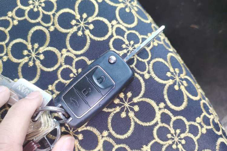 Used FORTHING Lingzhi M5 2020 Long-Range Version Comfort Model 7 Seats
