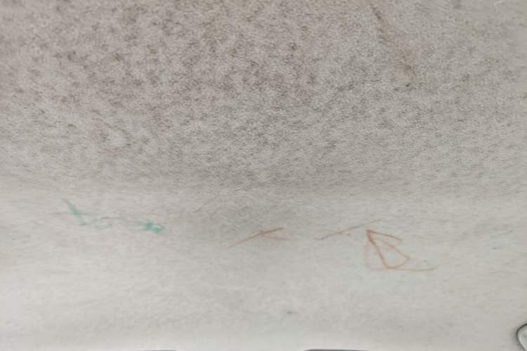 Used Geely Auto Diamond 2013 1.5L Manual Elite Model Headliner