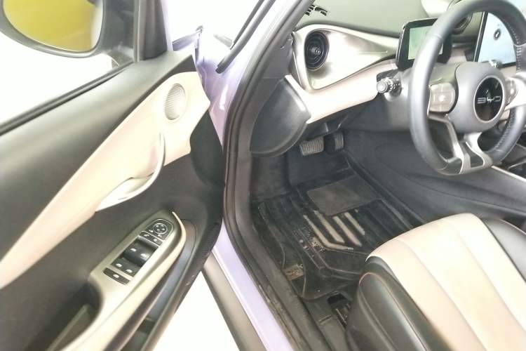 Used BYD Dolphin 2023 420 km Free Version
