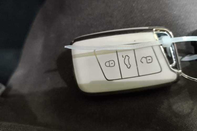 Used Volkswagen Magotan 2020 330TSI DSG Luxury Edition