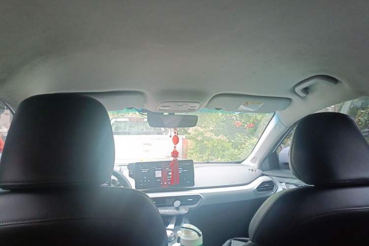 Used Geometry G6 2022 480 New Smart Type Headliner