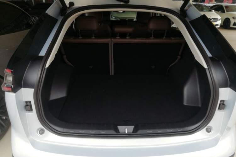 Used GAC Trumpchi GS4 2024 MAX 1.5T Flagship Edition
