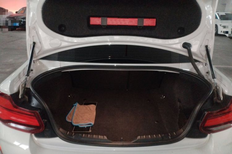 Used BMW M2 2018 M2 Thunder Edition