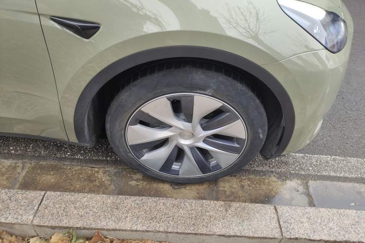 Used Tesla Model Y 2021 Standard Range Rear-Wheel Drive Version
