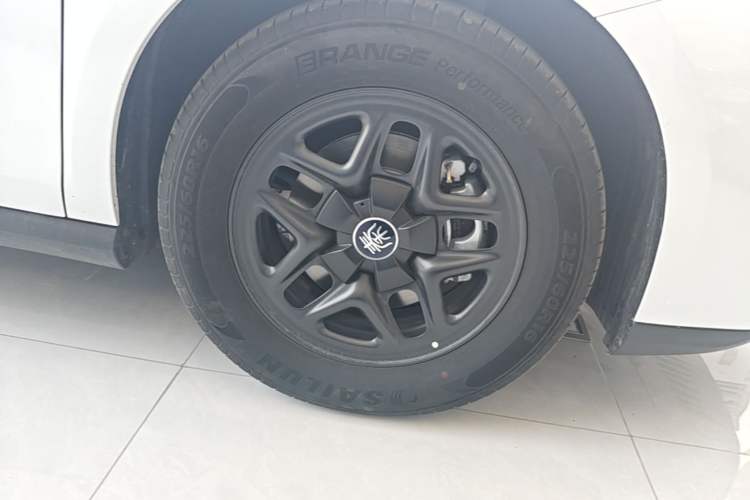 Used BYD Qin PLUS 2025 DM-i Smart Drive 55KM Leading Model
