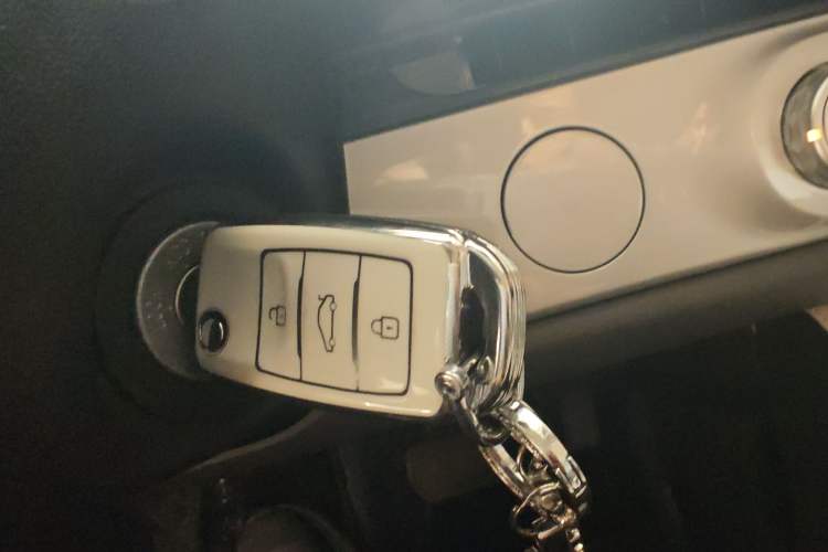 Used Qiyuan Lumin 2025 205 km Xiangqin Version