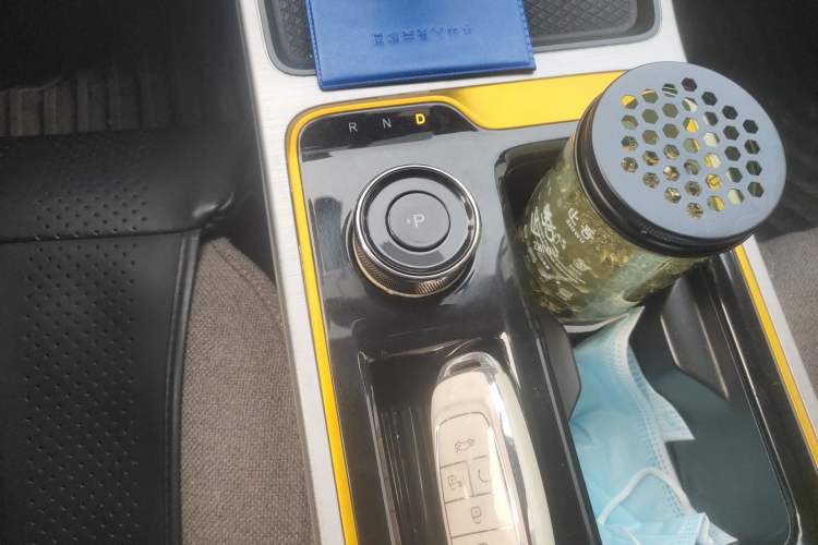 Used AION Y 2022 70 Enjoyment Edition Lithium Iron Phosphate Gear Lever