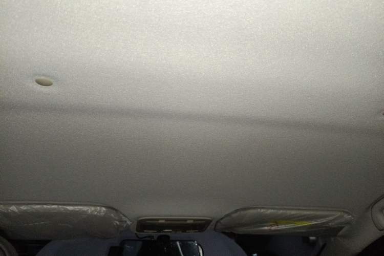 Used SOL E10X 2022 Flower Fairy Style Baby's Breath Headliner