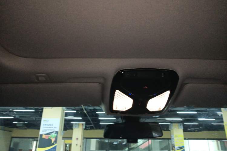 Used BMW 5 Series 2020 530Li Luxury Edition Premium Package Headliner