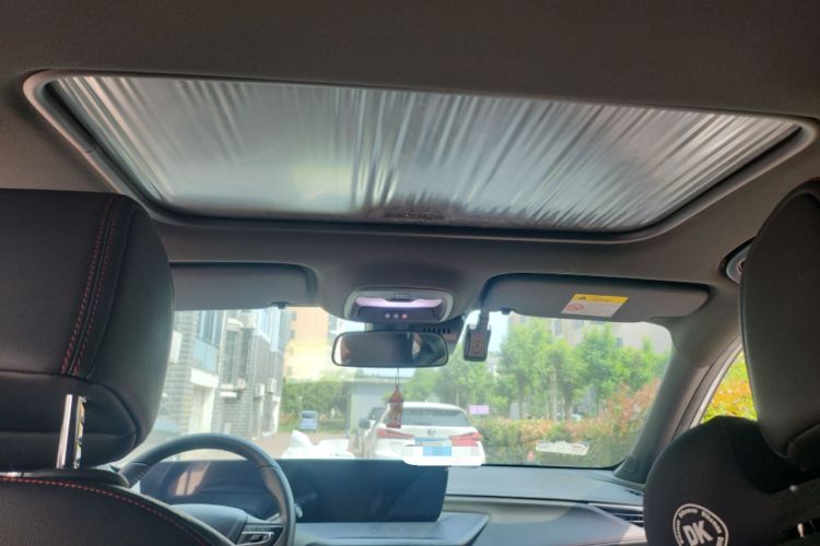 Used Buick Verano 2023 Pro GS Hunter Wind Edition Headliner