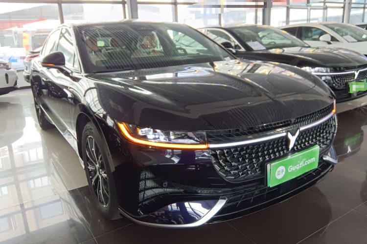 Used VOYAH PASSION 2024 PHEV Four-Wheel Drive Ultra-Long Range Executive Edition
