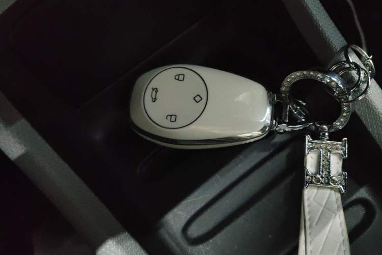 Used Leapmotor T03 2023 310 Lite Edition Vehicle Key