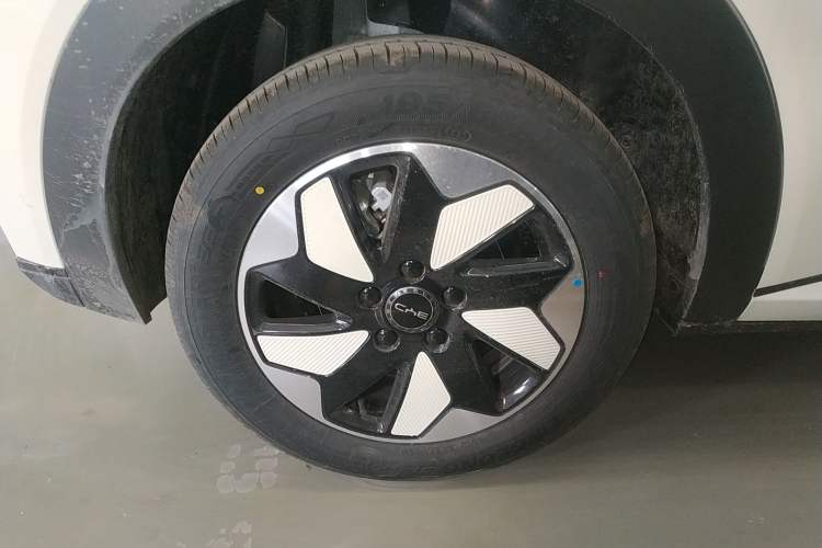 Used BYD Dolphin 2025 420km Free Edition