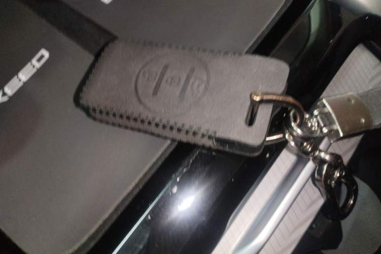 Used EXEED Lingyun 2024 300T Two-Wheel Drive Starlight Edition Interior 1