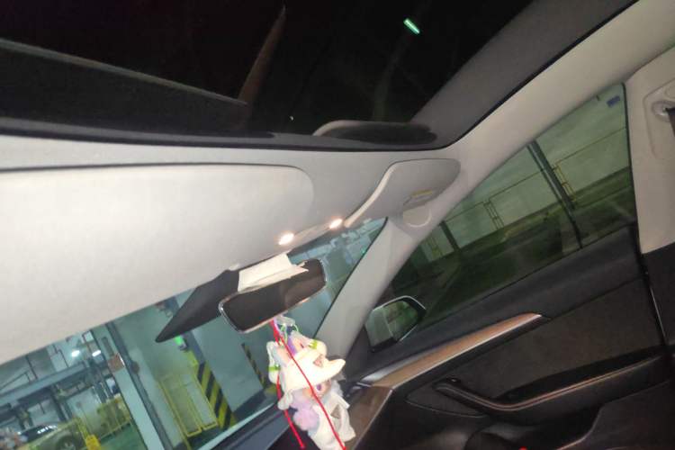 Used Tesla Model 3 2022 Rear-Wheel-Drive Version