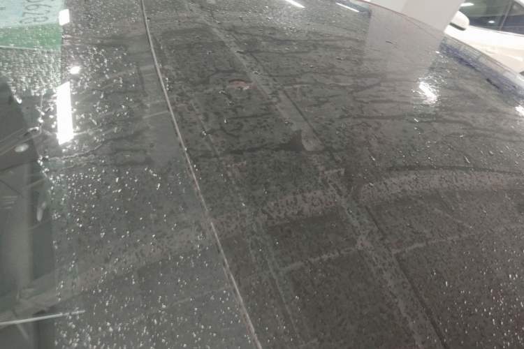 Used Tesla Model 3 2019 Long-Range Rear-Wheel-Drive Version Roof