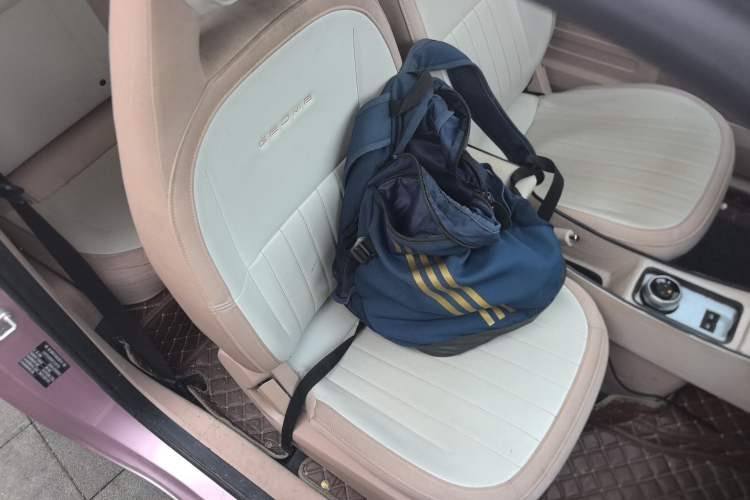 Used Geely Galaxy Panda 2023 Panda Mini 200km Endurance Bear