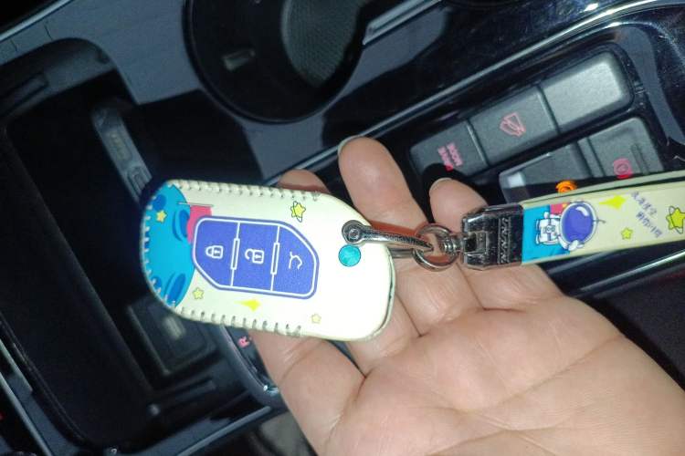 Used FORTHING T5 EVO 2021 1.5TD DCT Starry Edition
