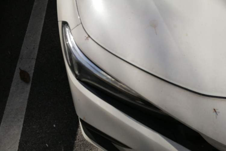 Used Honda Civic 2023 240TURBO CVT Dynamic Control · C-Position Guest Special Edition Right Front Headlight