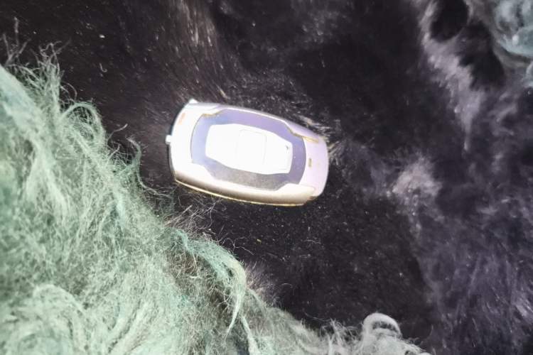 Used BYD Song 2016 2.0TID Automatic Prestige Edition