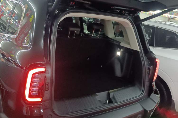 Used Haval DARGO 2024 2.0T DCT Chinese Rural Dog Edition Trunk