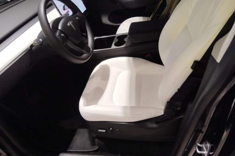 Used Tesla Model Y 2021 Standard Range Rear-Wheel Drive Version
