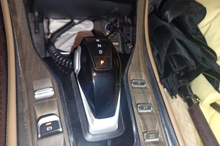 Used Landian E5 2024 Honor Edition 100KM Comfort Model 7 Seats Gear Lever