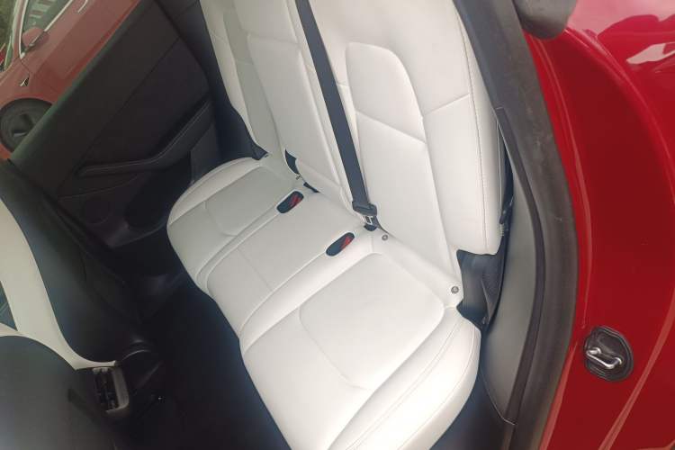 Used Tesla Model Y 2023 High-Performance All-Wheel-Drive Version
