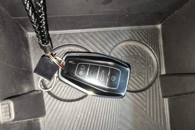 Used Geometry E Firefly 2023 401KM Linglong Tiger 5-Seater Vehicle Key