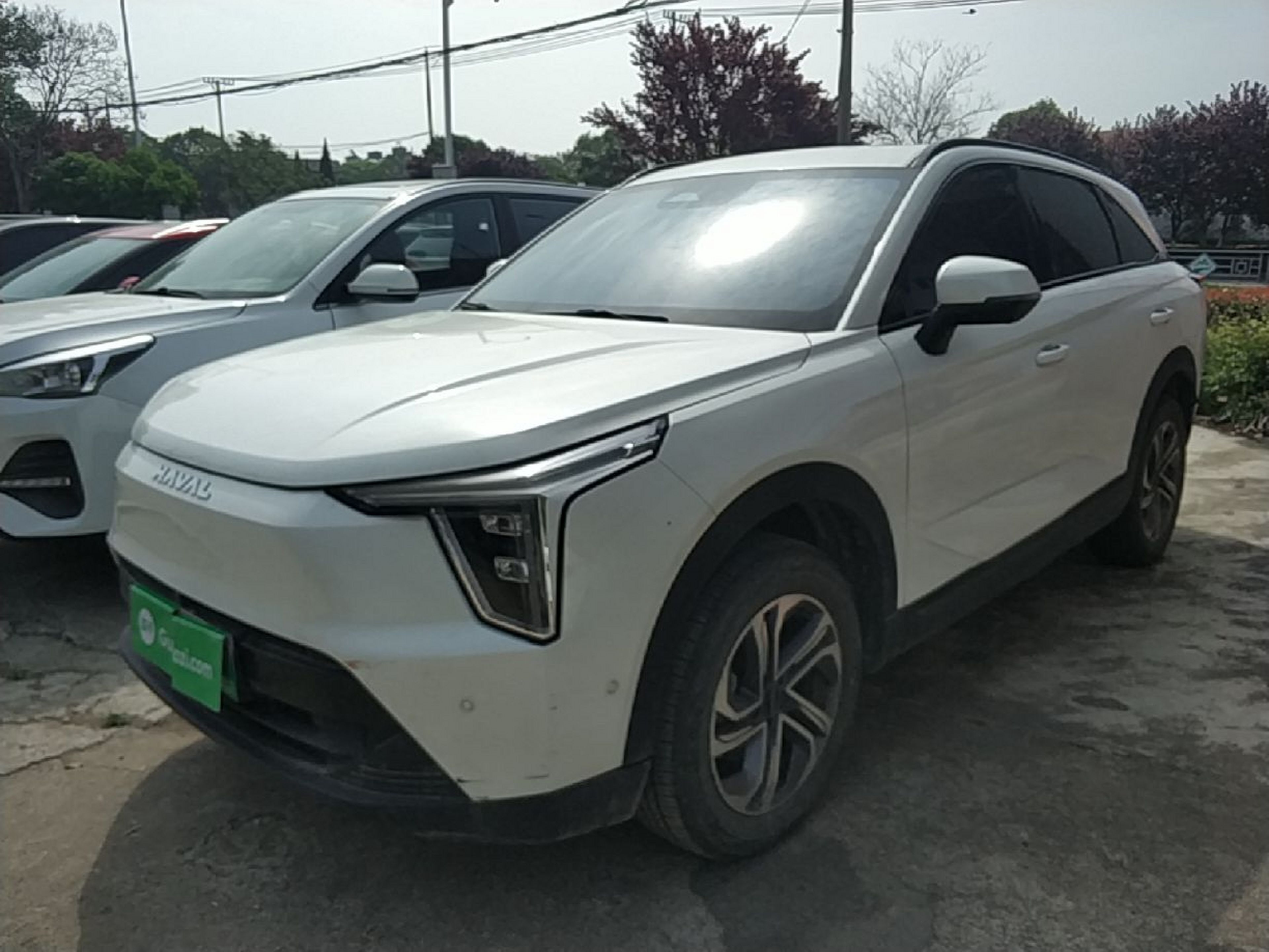 Parte inferior delantera