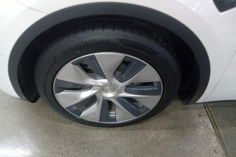 Used Tesla Model Y 2021 Standard Range Rear-Wheel Drive Version