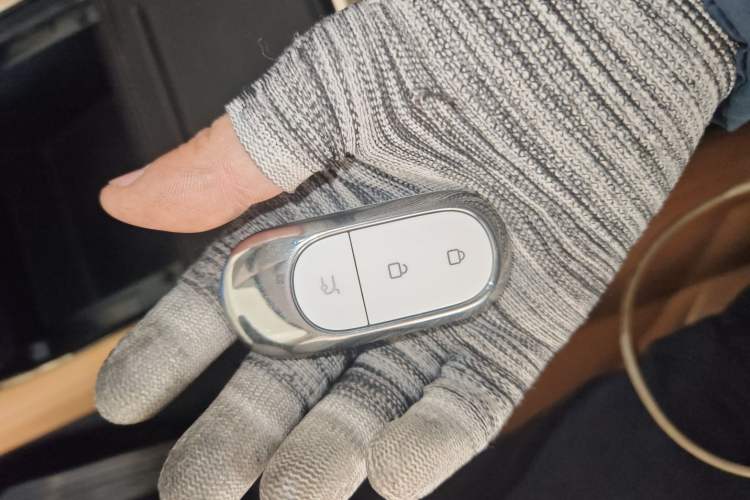 Used Leapmotor C11 2024 All-Electric 580 Luxury Edition
