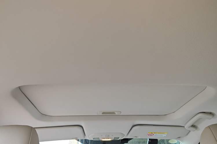 Used Ford Escort 2021 1.5L Automatic Diamond Edition Headliner