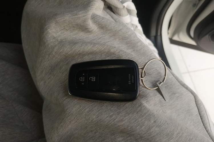 Used Toyota Wildlander 2023 Dual-Engine 2.5L E-CVT 4x4 Luxury PLUS Edition
