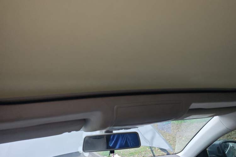 Used Volkswagen Passat New Energy 2019 430 PHEV Hybrid Luxury Edition Headliner