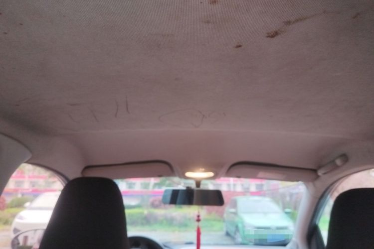 Used Chery Little Ant 2018 400 4-Seater Smart Edition Headliner