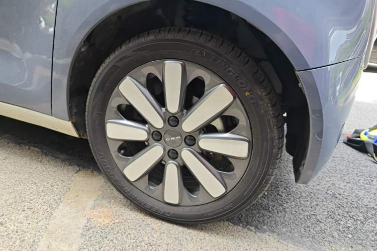 Used ORA Black Cat 2021 351 km Luxury Version
