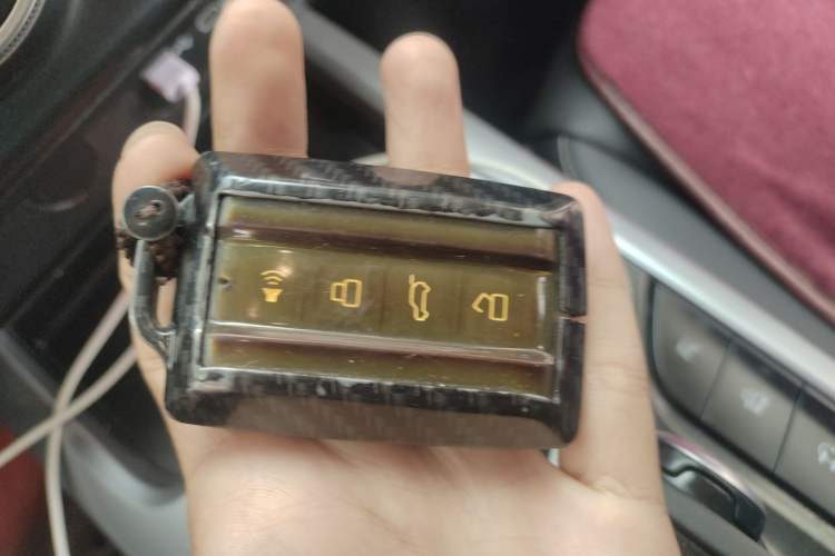 Used Tank 300 2023 Off-Road Edition 2.0T Conqueror
