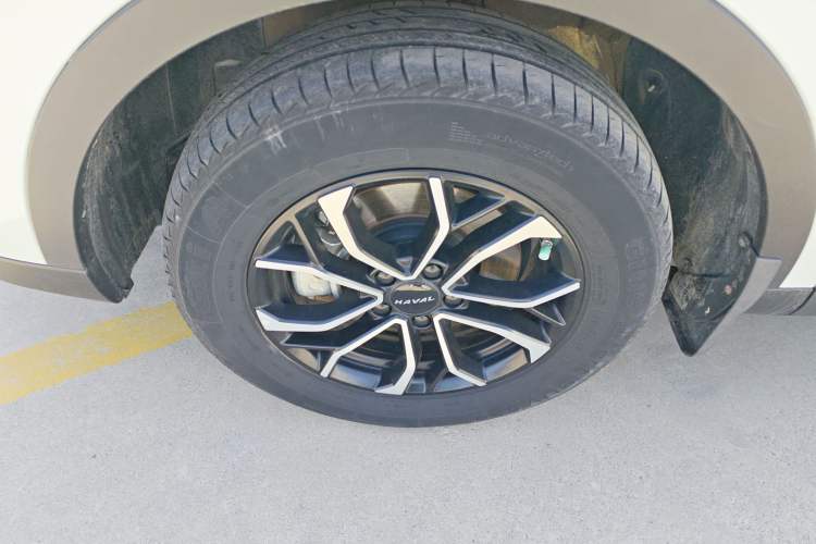 Used Haval H6 2021 National Trend Edition 1.5T Automatic Urban Version
