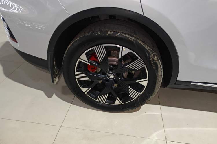 Used BYD Tang New Energy 2024 DM-p Champion Edition 215KM Four-Wheel Drive Deluxe Model