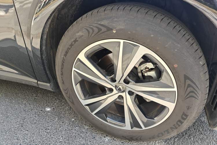 Used Lexus RX 2025 300 Four-Wheel Drive Junxiang Edition
