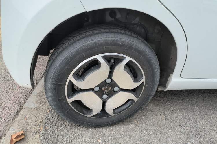 Used SOL E10X 2022 Flower Fairy Style Baby's Breath
