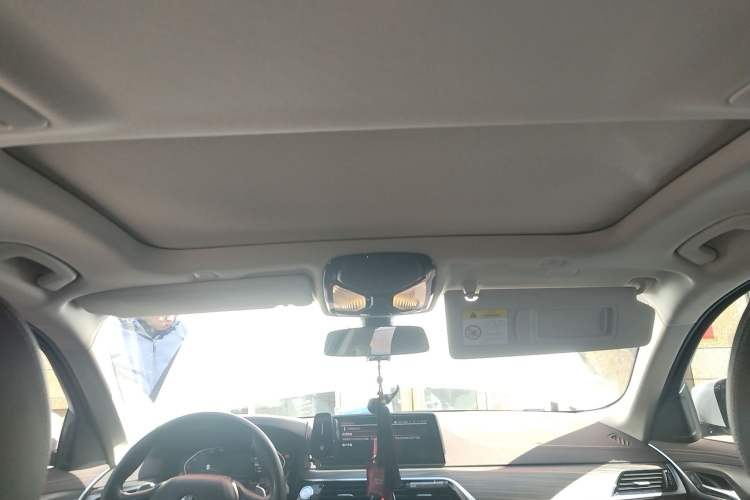 Used BMW 5 Series 2020 530Li Leading Edition Luxury Package
