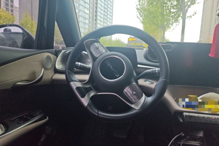 Used BYD Dolphin 2024 Honor Edition 420km Fashion Version Steering Wheel